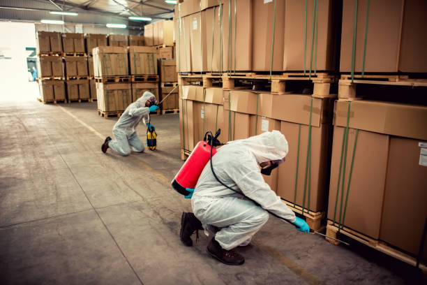 Best Best Pest Control Companies  in Eastport, NY