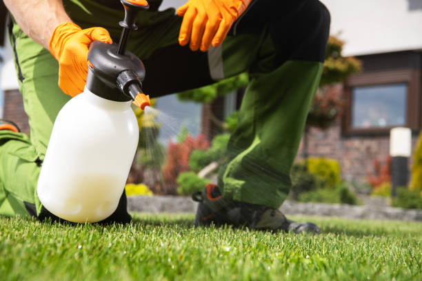 Pest Control for Restaurants in Eastport, NY