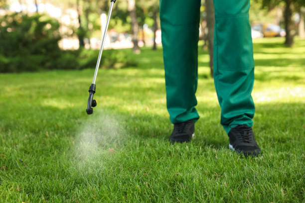 Best Local Pest Control Services  in Eastport, NY