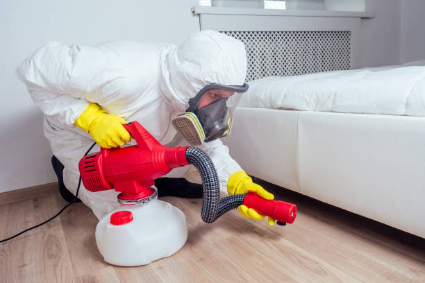 Best Residential Pest Control  in Eastport, NY