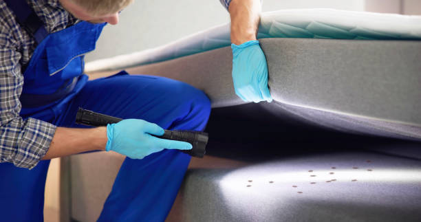 Best Local Pest Control Services  in Eastport, NY