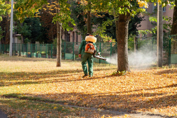 Insect Control in Eastport, NY