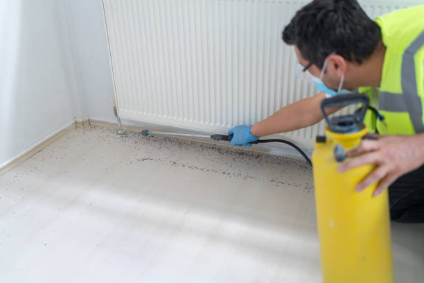 Best Exterminator Services  in Eastport, NY